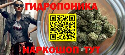 молекула духа Кимры