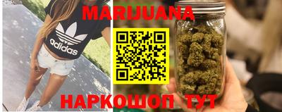 крисы Кинель
