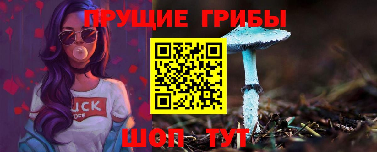 Псилоцибиновые грибы мухоморы  Вход с VPN  Галлюциногенные грибы Psilocybine cubensis  Урай 
